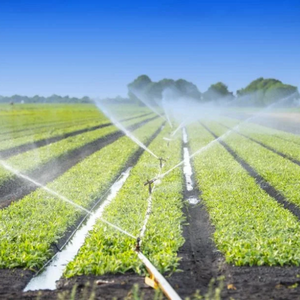 AGRICULTURE PROMOTING WATER EFFICIENCY AND SOIL QUALITY