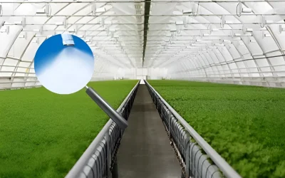 High-Pressure Fogging Systems​